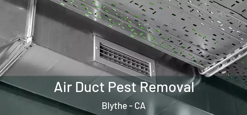  Air Duct Pest Removal Blythe - CA