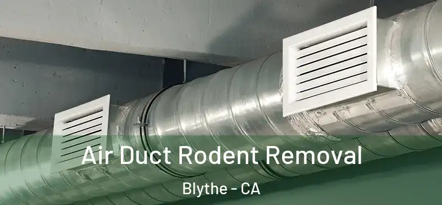  Air Duct Rodent Removal Blythe - CA