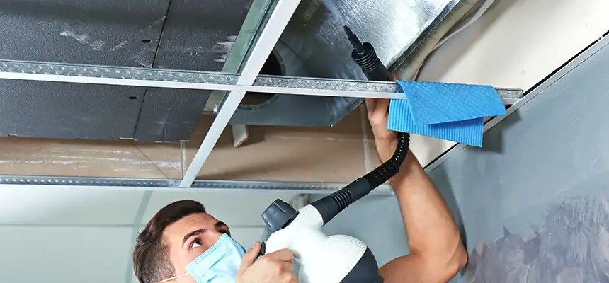 Our Air Duct Rodent Removal Services in Blythe, CA