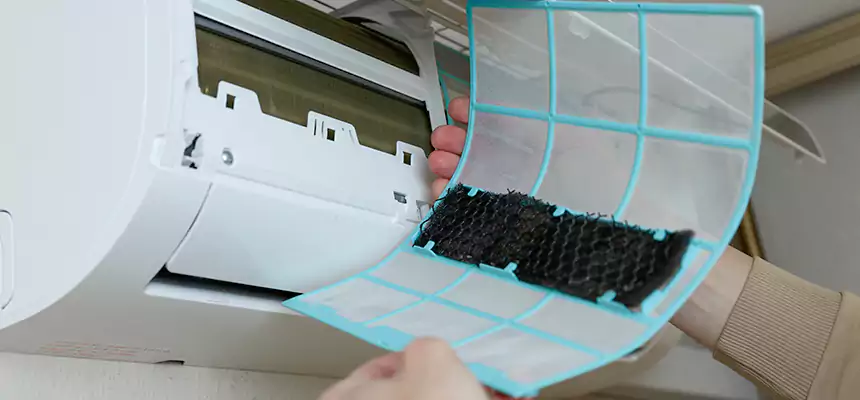 Gentle Ductwork Odor-Control Pet Dander Duct Cleaning in Blythe, CA