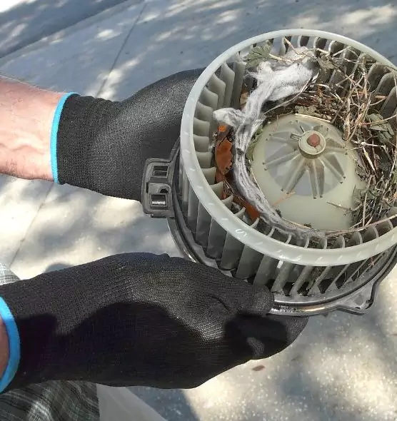 About Air Duct Rat Removal in Blythe, CA