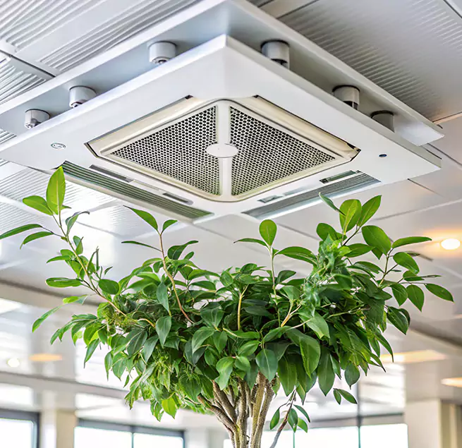 Why Homeowners & Businesses Trust Us in Blythe, CA?